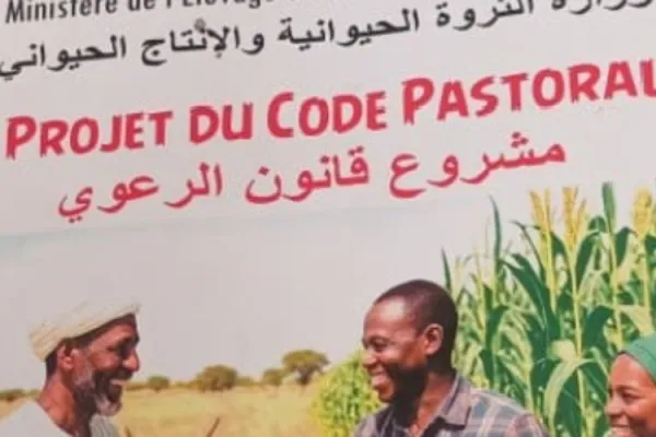 “Dangerous plan”: Lay Executives in Chad Join Catholic Bishops in Denouncing Government’s Draft Pastoral Code