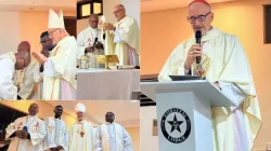 Michael Cardinal Czerny. Credit: Zonke Tembe/Catholic Diocese of Manzini