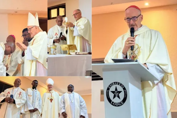 To Curb Hostilities, Vatican Cardinal Urges Southern Africa Pastoral Agents to Engage Migrants in Stakeholder Meetings