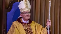 Stephen Cardinal Brislin of South Africa's Johannesburg Catholic Archdiocese. Credit: SACBC