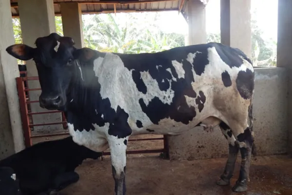 Salesians Providing Nutritional Aid for Vulnerable Children in Uganda