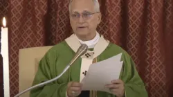 Pope Leo XIV preaches at the historic Rotonda church in Albano, Aug. 17, 2025. / Credit: Vatican Media