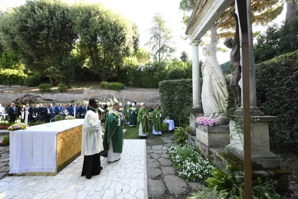 Pope Leo XIV Supports "important and urgent" Creation Day September 1