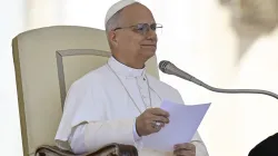 Pope Leo XIV appealed for help for Sudan during his Wednesday general audience in St. Peter's Square on Sept. 3, 2025. / Credit: Vatican Media.