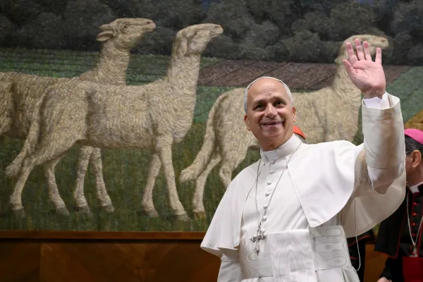 Pope Leo XIV Urges "thinking the faith" amid Risk of Cultural Emptiness