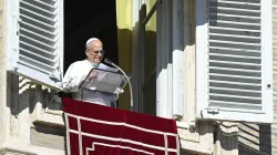 Pope Leo XIV addresses pilgrims in St. Peter’s Square at the Vatican on Nov. 9, 2025. / Credit: Vatican Media