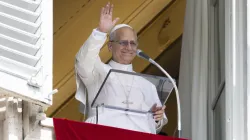 Pope Leo XIV at a window of the Vatican's Apostolic Palace, leading pilgrims in reciting the Angelus, on September 14, 2025, the pope's 70th birthday. / Vatican Media