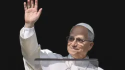 Pope Leo XIV greets pilgrims gathered in St. Peter's Square at the Vatican for the Angelus on December 14, 2025. / Vatican Media