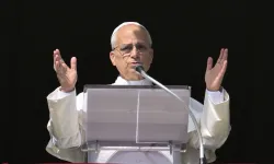 Pope Leo XIV leads the faithful in St. Peter’s Square at the Vatican in reciting the Angelus on Nov. 2, 2025. / Credit: Vatican Media