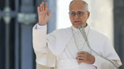 Pope Leo XIV in St. Peter's Square at the Vatican on November 5, 2025. / Vatican Media