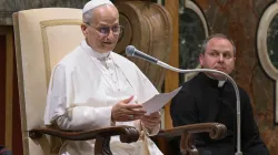 Pope Leo XIV on July 25, 2025, addresses priests belonging to the Society of St. Xavier and participants of a monthlong seminary formators course at the Pontifical Athenaeum Regina Apostolorum at the Vatican. / Credit: Vatican Media