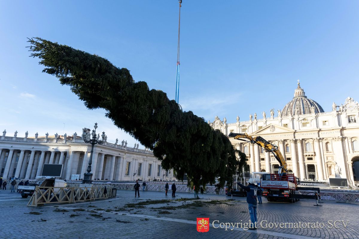 Vatican's 88-foot-tall 2025 Christmas Tree Towering in the Centre of St. Peter's Square