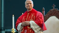 Pope Leo XIV in Harissa, Lebanon, on Dec. 1, 2025. / Credit: Vatican Media