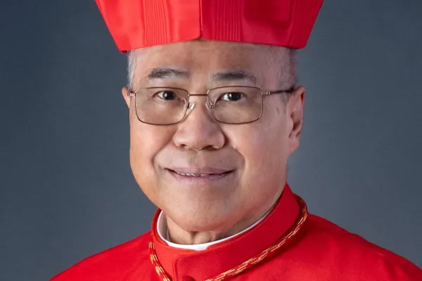 Singapore's Cardinal Says He expects clarity in teaching from Pope Leo XIV
