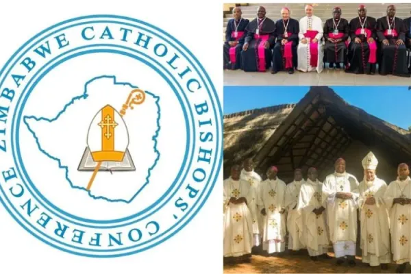 Catholic Church in Zimbabwe Decries Foreign Pressure to Promote Abortion