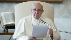 Pope Francis speaks at a general audience in the apostolic library. Credit: Vatican Media