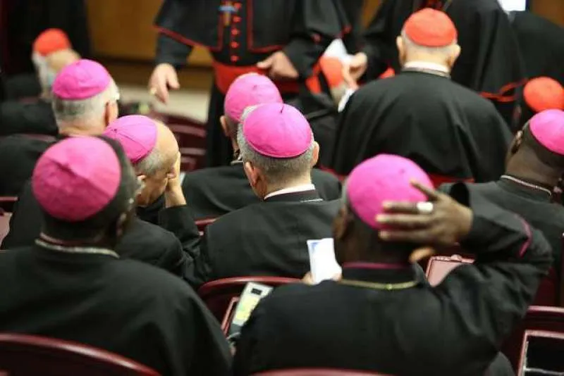 Participants in the Vatican Synod Hall during the Synod on the Family in Oct. 2014. Credit: Daniel/Ibanez/CNA.