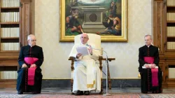 Pope Francis gives a general audience address in the library of the Apostolic Palace. Credit: Vatican Media