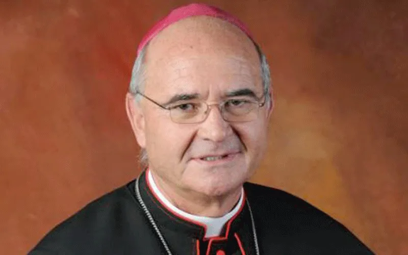 Archbishop Stephen Brislin, the Liaison Bishop of the South Africa-based Denis Hurley Peace Institute (DPHI).