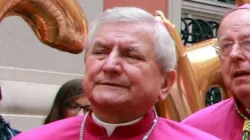 Bishop Edward Janiak. / Press Office of the Archdiocese of Krakow.
