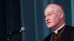 Cardinal Marc Ouellet, prefect of the Congregation for Bishops./ Franco Origlio/Getty Images News.