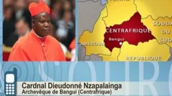Dieudonné Cardinal Nzapalainga, Archbishop of Bangui, Central African Republic