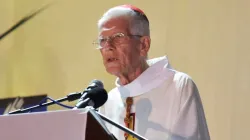 Maurice Cardinal Piat. / Diocese of Port-Louis.