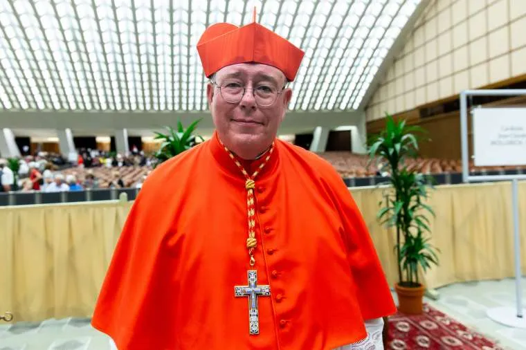 Cardinal Jean-Claude Hollerich, Archbishop of Luxembourg, at the Vatican, Oct. 5, 2019. / Daniel Ibáñez/CNA.