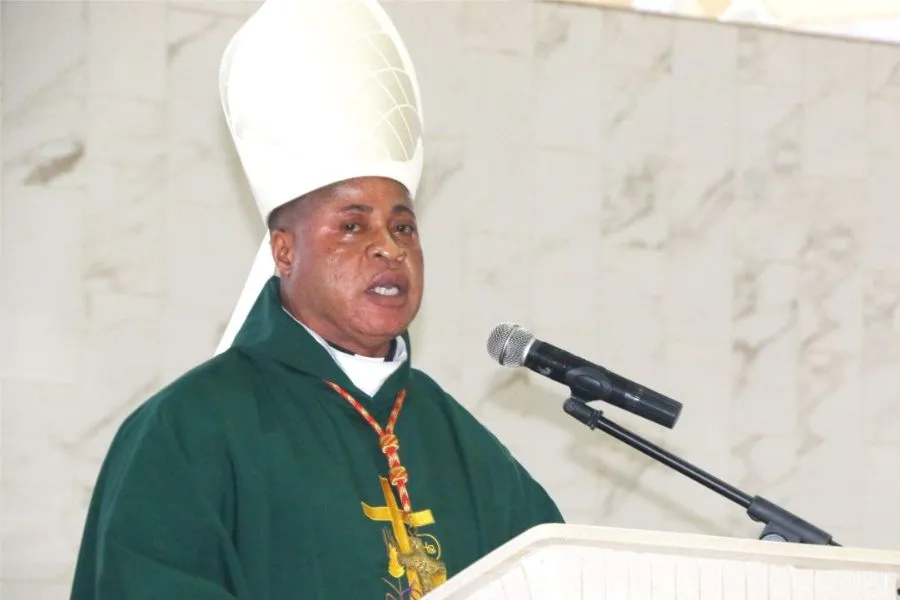 Peter Ebere Cardinal Okpaleke of Nigeria’s Ekwulobia Diocese. Credit: Nigeria Catholic Network