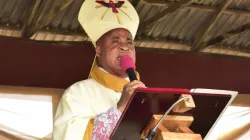 Peter Ebere Cardinal Okpaleke of Nigeria's Catholic Diocese of Ekwulobia. Credit: Catholic Diocese of Ekwulobia