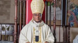 Archbishop Alfred Adewale Martins of Lagos Archdiocese. Credit: Lagos Archdiocese