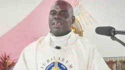 Fr. Telmo Serôdio, member of the Theological Committee of the Inter-Regional Meeting of Bishops of Southern Africa (IMBISA). Credit: IMBISA