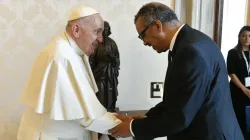 Pope Francis meets with Dr. Tedros Adhanom Ghebreyesus, head of the World Health Organization, July 24, 2023, in a private Vatican audience. | Credit: Vatican Media