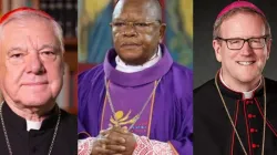Cardinal Gerhard Ludwig Müller, Cardinal Fridolin Ambongo, and Bishop Robert Barron. | Credit: Alan Koppschall/EWTN; ACI Africa; Courtesy of DeChant-Hughes Public Relations
