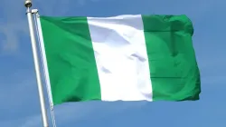 Flag of Nigeria/ Credit:Shutterstock