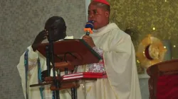 Peter Ebere Cardinal Okpaleke of Ekwulobia Diocese in Nigeria. Credit: Ekwulobia Diocese