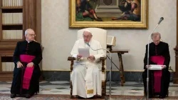 Pope Francis speaks during a general audience in the library of the Apostolic Palace. Credit: Vatican Media.