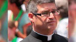 Fr. Fabián Pedacchio Leaniz.  CNA file photo.