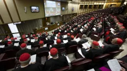 The extraordinary consistory of cardinals meets at the Vatican's Synod Hall, Aug. 29, 2022. | Credit: Vatican Media
