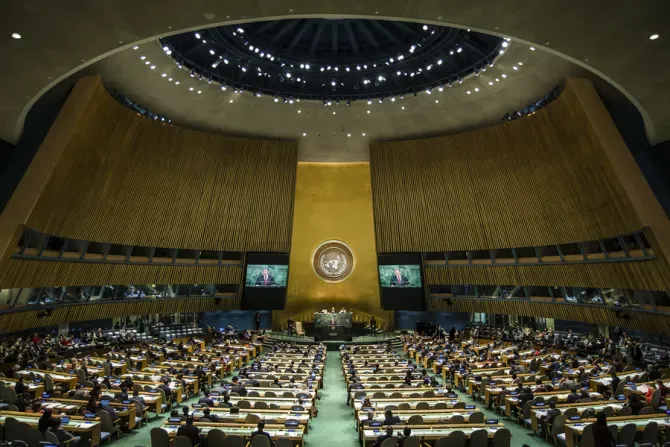 The United Nations General Assembly in New York. | Drop of Light/Shutterstock.