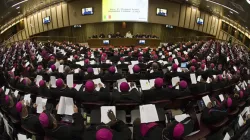 Synod on the Family meeting in the Synod Hall in Vatican City on Oct. 21, 2015./ L’Osservatore Romano.