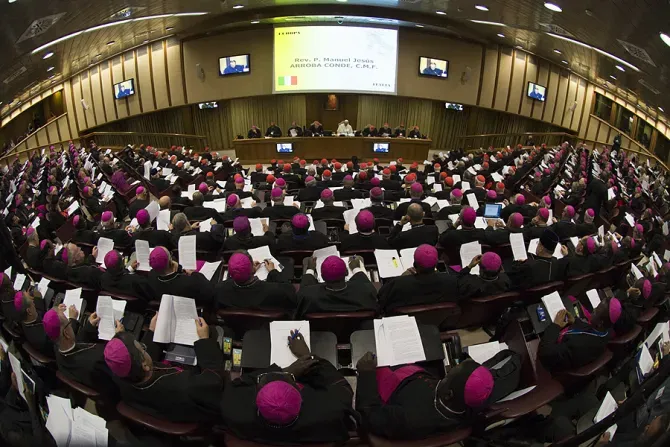 Synod on the Family meeting in the Synod Hall in Vatican City on Oct. 21, 2015./ L’Osservatore Romano.