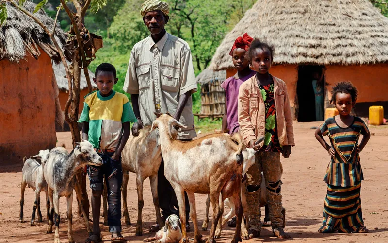 In 2011, Ethiopia experienced its worst drought for 50 years. Millions of livestock perished across the country, many of which were unable to find food or water in the bleached landscape of Borana zone, Ethiopia’s water-stressed southernmost region. Credit: Trócaire