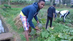 Some youths working in one of the farms belonging to the students at the Don Bosco Gatenga Center in the country’s Archdiocese of Kigali. Credit: Salesian Missions