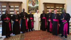 Members of the Zimbabwe Catholic Bishops Conference (ZCBC) with Pope Francis in Rome. Credit: Vatican Media