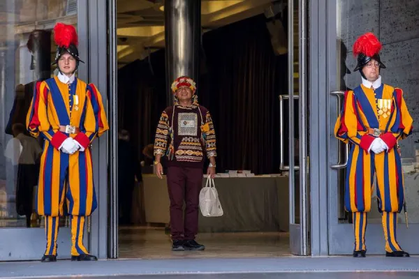 The Amazon Synod, by the Numbers