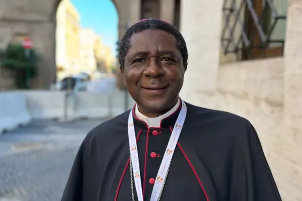 Views from Africa Were Taken “very seriously”: Synod on Synodality Delegate