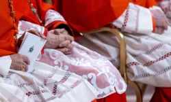 Cardinals follow the ceremony during the ordinary public consistory for the creation of new cardinals at St. Peter’s Basilica, Vatican City, Dec. 7, 2024. / Credit: Daniel Ibáñez/CNA