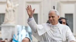 Pope Leo XIV greets pilgrims during his general audience in St. Peter’s Square at the Vatican, Wednesday, Oct. 22, 2025 / Credit: Daniel Ibáñez/CNA