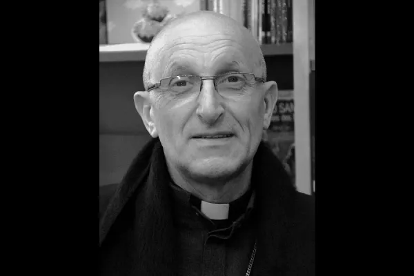 Vatican Asks for Suspension of Ordinations in French Diocese after a “fraternal visit”